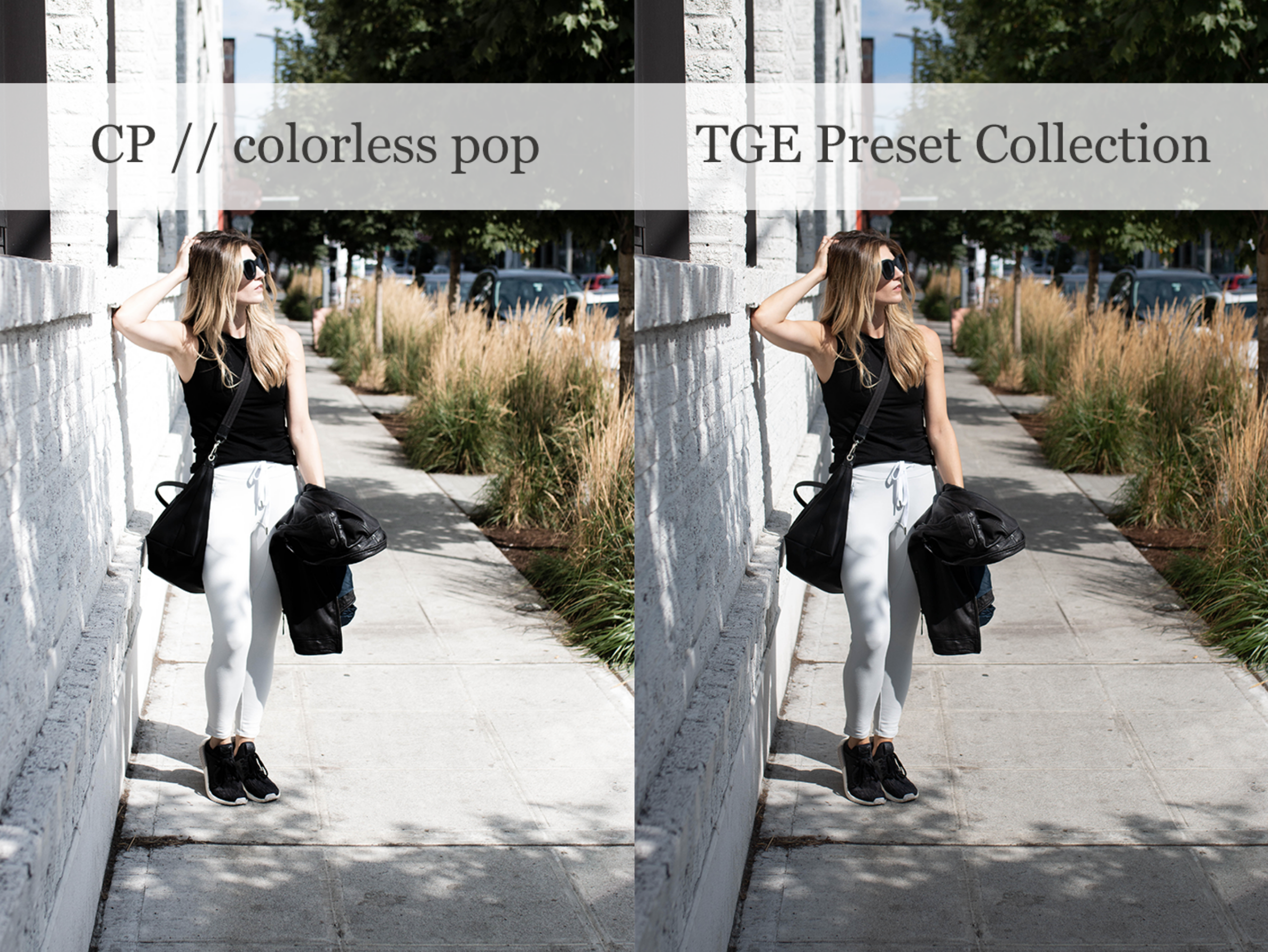 TGE Preset Collection | colorless pop