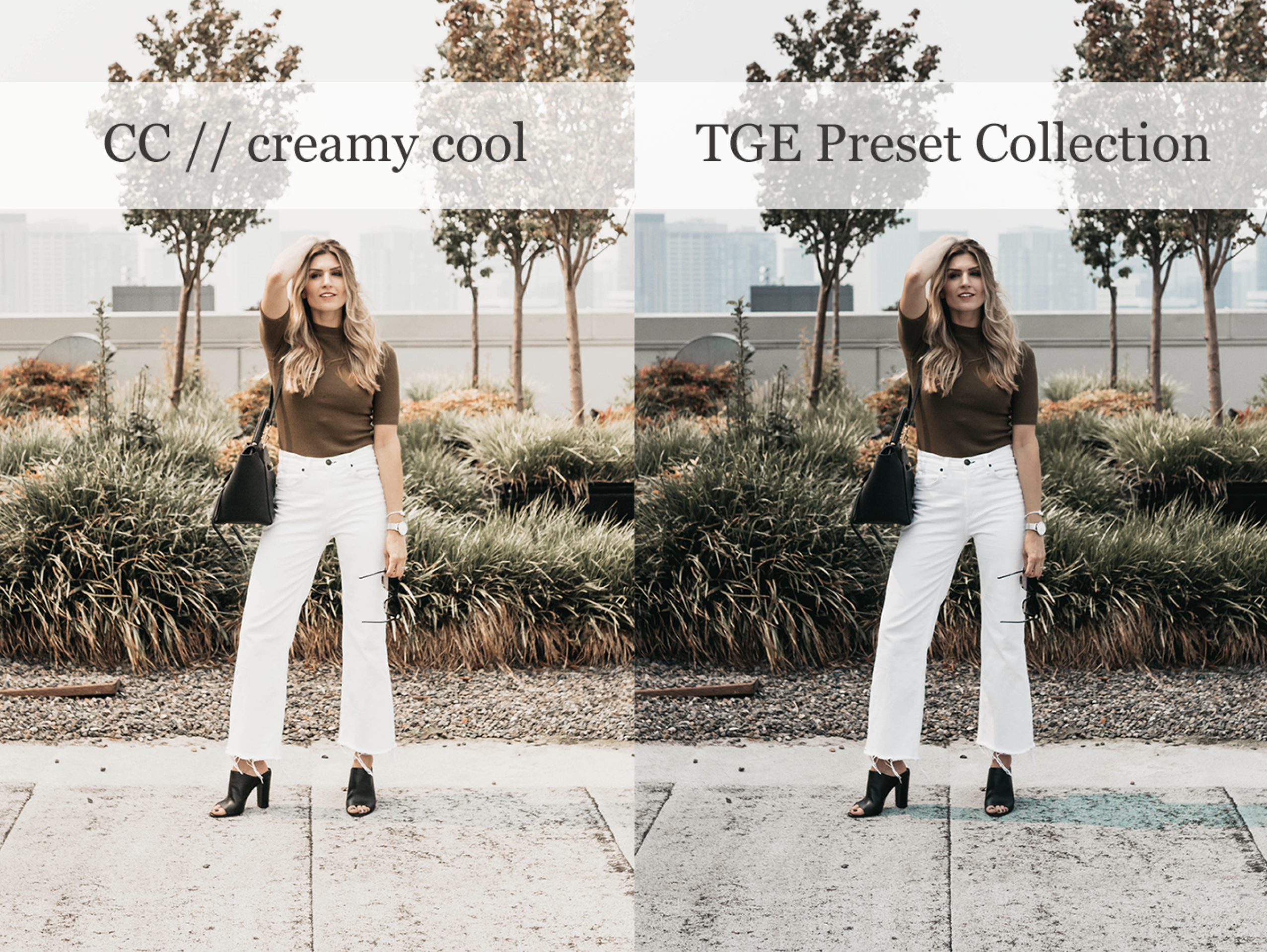 TGE Preset Collection | creamy cool