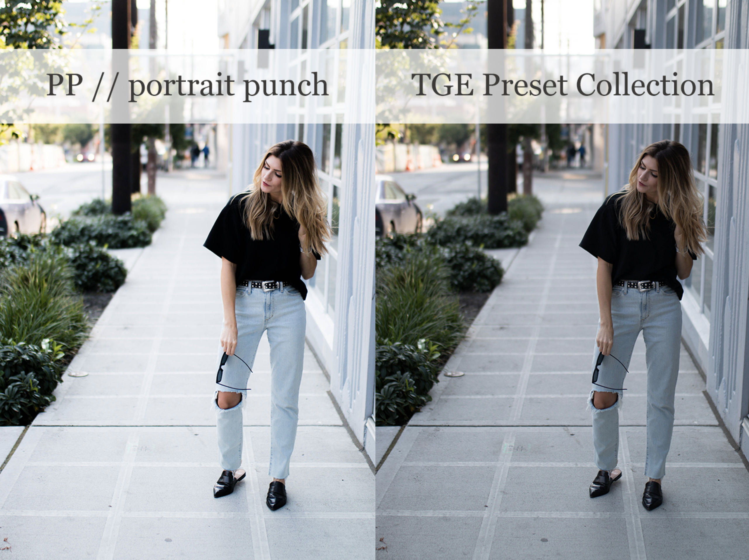 TGE Preset Collection | portrait punch