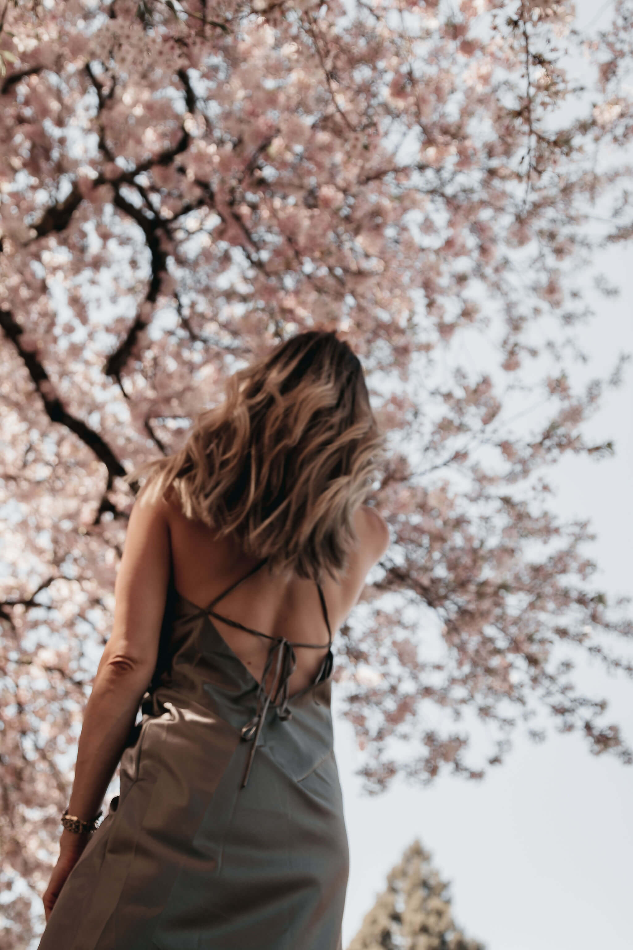 The Grey Edit - Cortney Bigelow - Seattle Lifestyle Blogger - Grace Loves Lace Silky Satin Midi - UW Cherry Blossoms